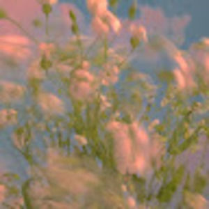 Meet your Posher, Kalista